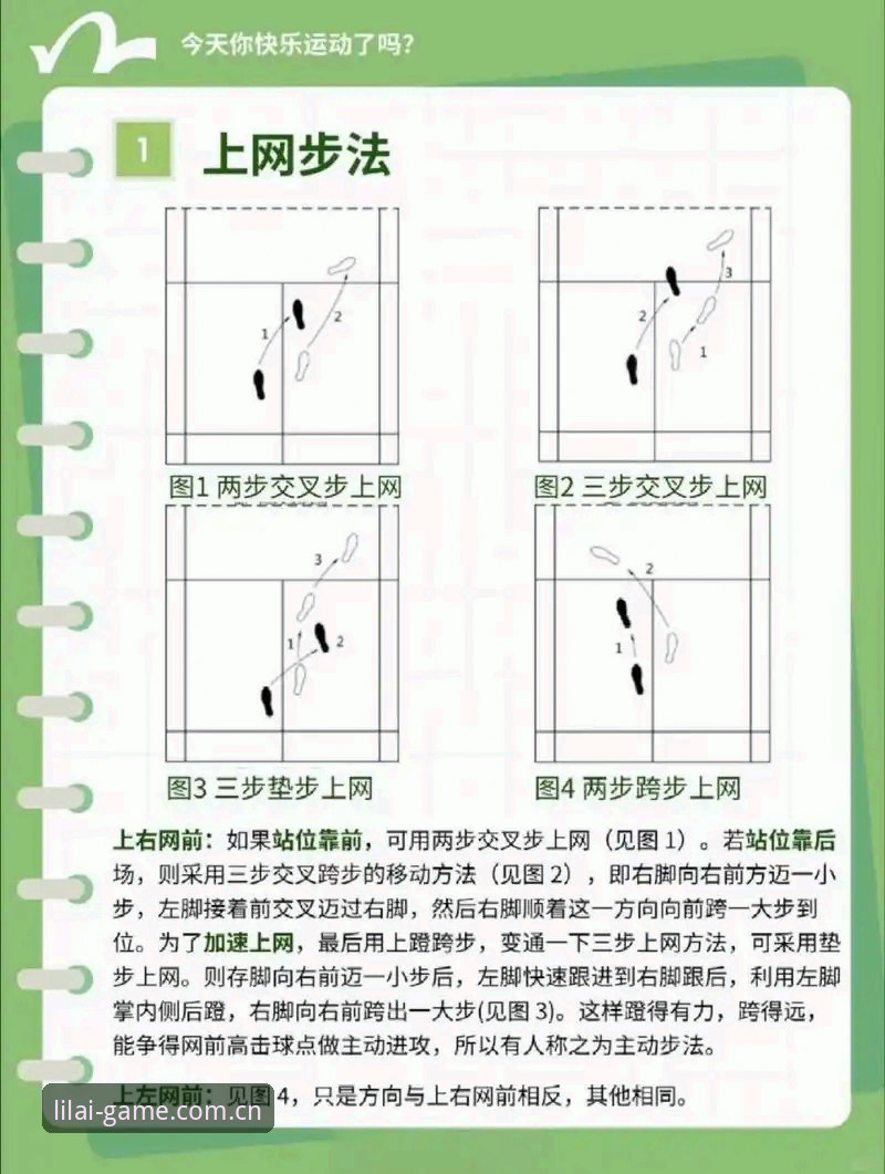 利来体育在线娱乐完整指南：从入门到精通的全流程解析