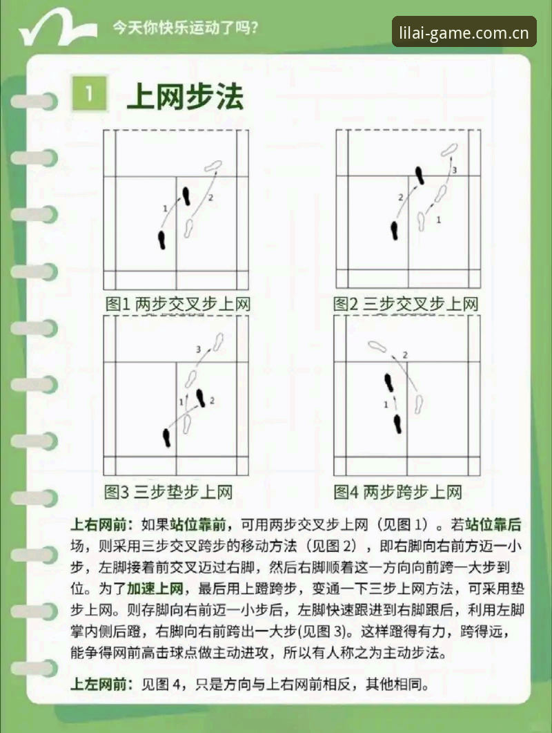 利来体育平台实用技巧：从新手到大神的必备指南
